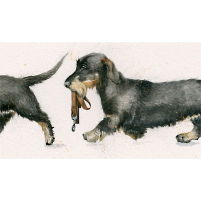 Walkies (Dachshunds)