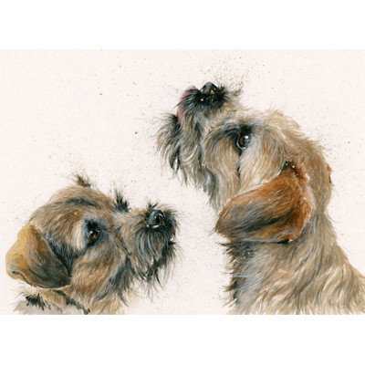 Trick or Treat (Border Terrier)