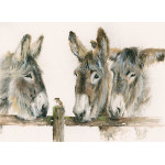 Why The Long Face (Donkeys) - SML Why The Long Face (Donkeys) - SML