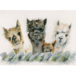 Hair Bear Bunch (Alpacas) - LGE