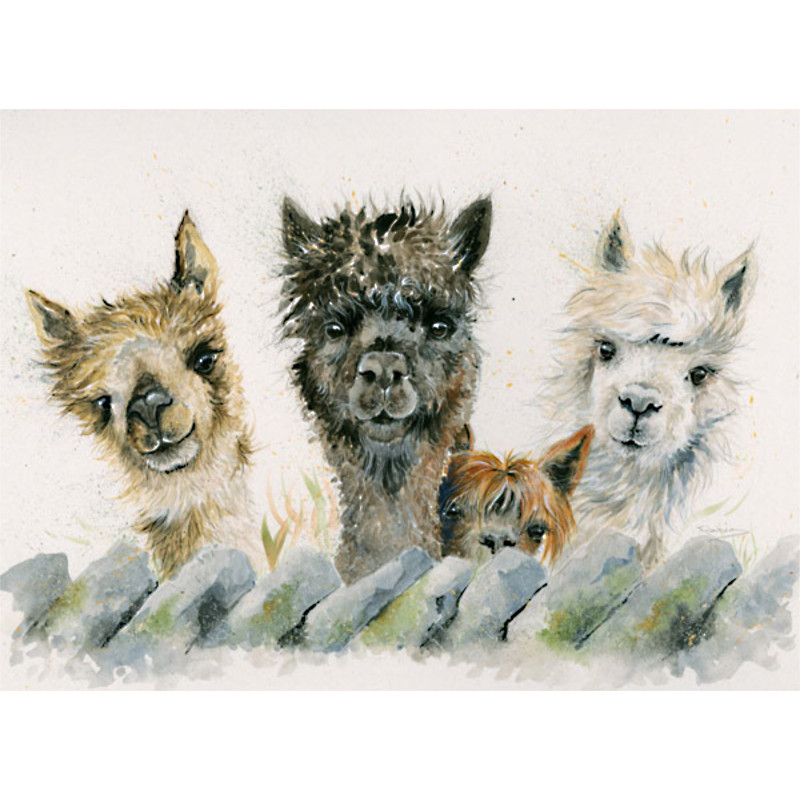 Hair Bear Bunch (Alpacas) - LGE