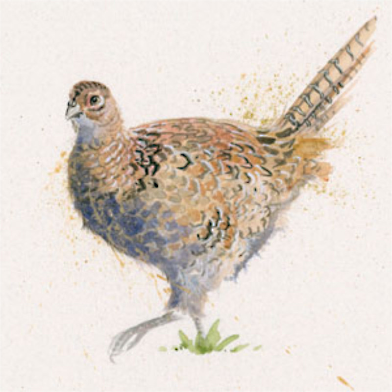 Lady Of The Manor (Pheasant) Lady Of The Manor (Pheasant)