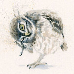 Little Scratch (Owl)