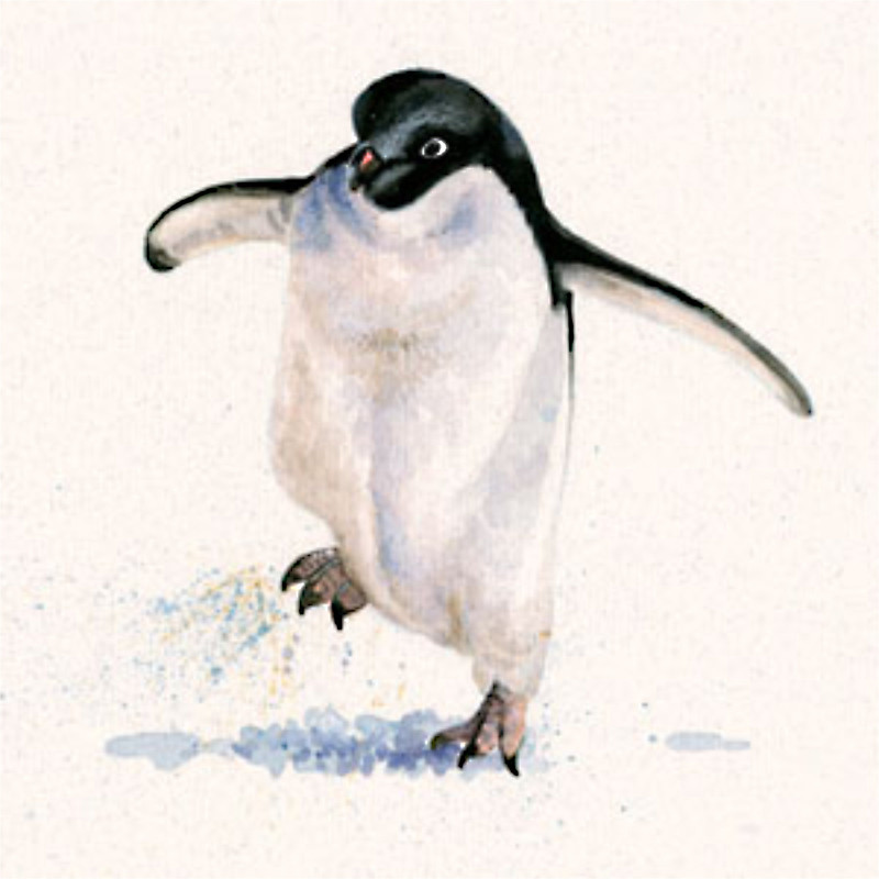 Cold Feet Cold Feet
