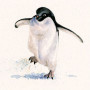 Cold Feet
