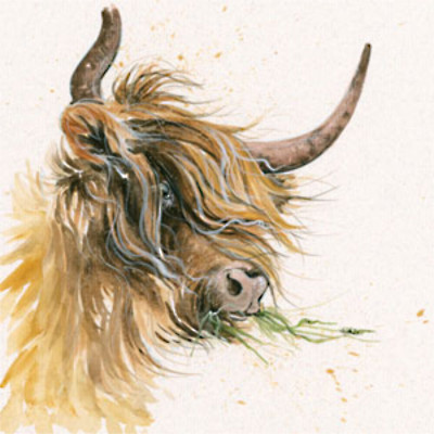 Green Tea (Highland Cow)