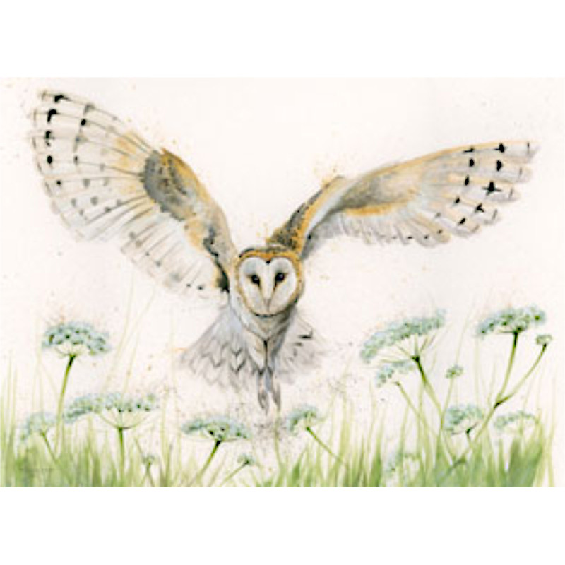 A Wing And A Prayer (Barn Owl) - SML A Wing And A Prayer (Barn Owl) - SML