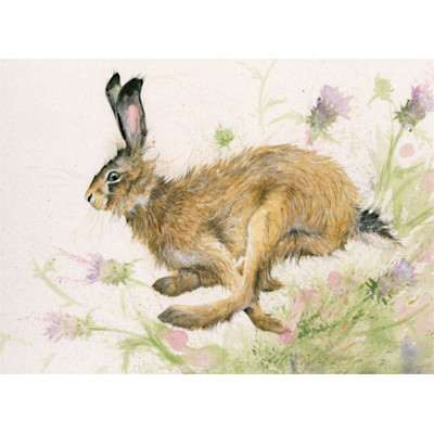Thistle On The Wind (Hare) - LGE