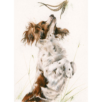 Highly Sprung (Springer) - LGE