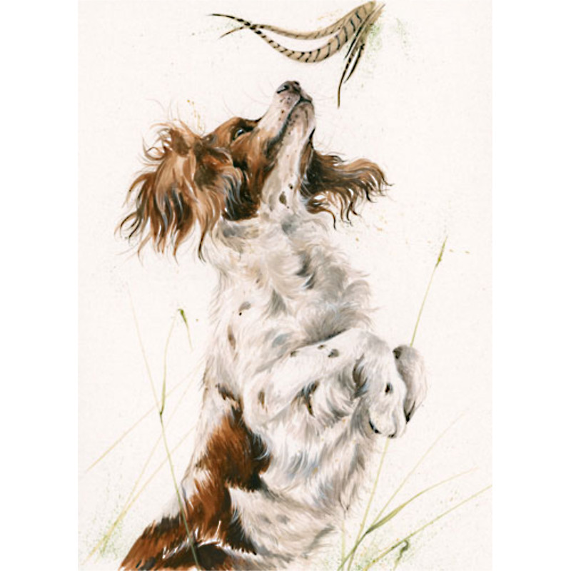 Highly Sprung (Springer) - LGE Highly Sprung (Springer) - LGE