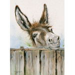 The Meeting Place (Donkey) The Meeting Place (Donkey)