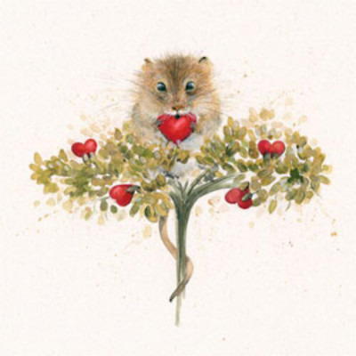 Heartfelt (Dormouse)