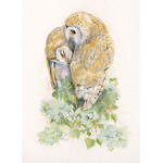 Owl Always Love You (Owls) Owl Always Love You (Owls)
