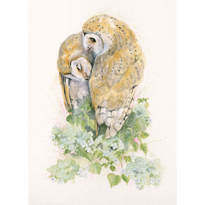 Owl Always Love You (Owls)