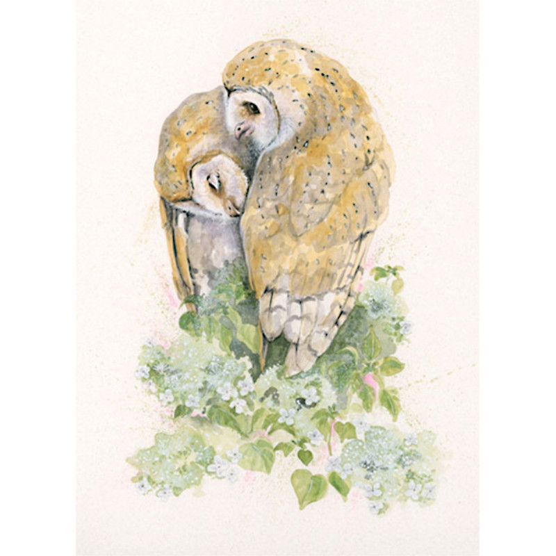Owl Always Love You (Owls) Owl Always Love You (Owls)