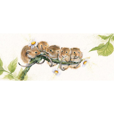 Social Gathering (Dormice)