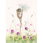 Lionheart (Dormouse) Lionheart (Dormouse)