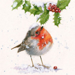 Snow Fall (Robin) Snow Fall (Robin)