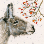 Merry Berries (Donkey & Robin)