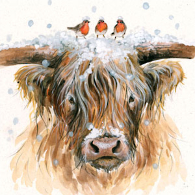 Ding Dong (Highland Cow & Robins)