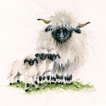 Happy Valais (Valais Sheep) Happy Valais (Valais Sheep)