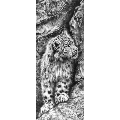 Above The Clouds (Snow Leopard)