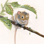 April Showers - Harvest Mouse April Showers - Harvest Mouse