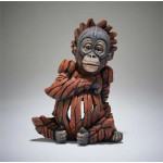 Baby Orangutan Baby Orangutan