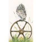 Bed and Breakfast (Owl)