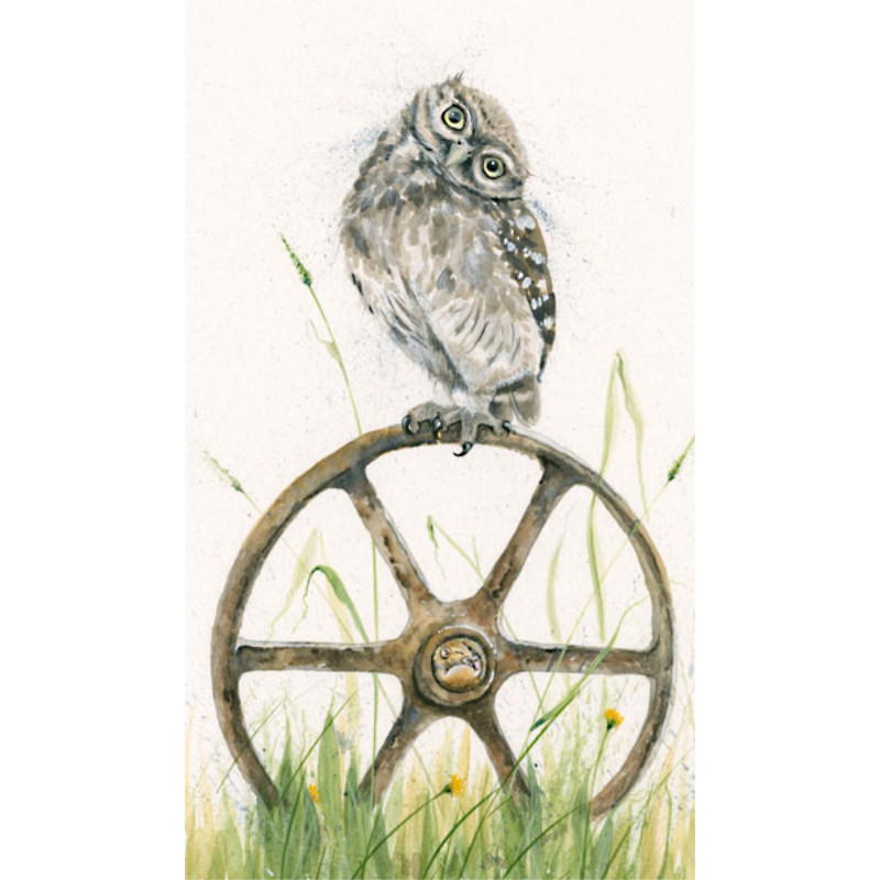 Bed and Breakfast (Owl)