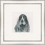 Bessie (Cocker Spaniel) Bessie (Cocker Spaniel)