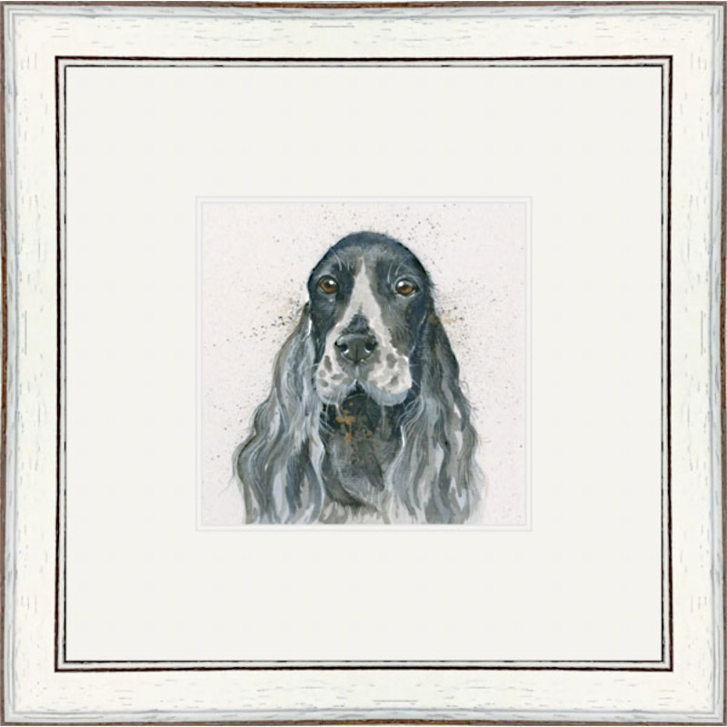 Bessie (Cocker Spaniel) Bessie (Cocker Spaniel)