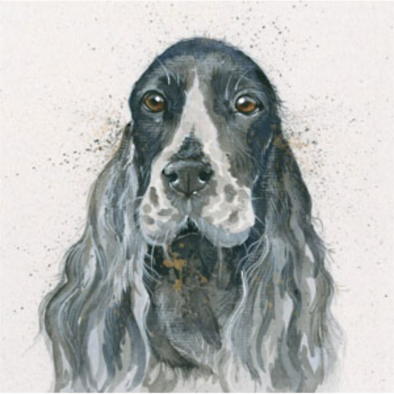 Bessie (Cocker Spaniel) Bessie (Cocker Spaniel)