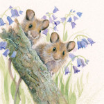 Bluebells - Harvest Mice Bluebells - Harvest Mice
