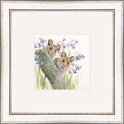 Bluebells - Harvest Mice Bluebells - Harvest Mice