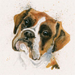 Boxer Tricks (Boxer) Boxer Tricks (Boxer)