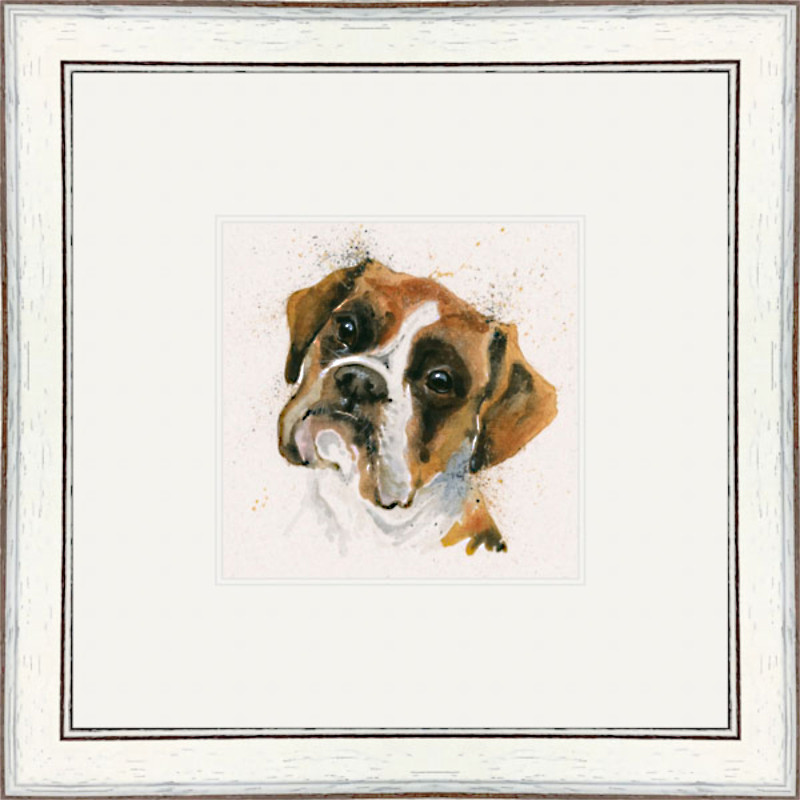 Boxer Tricks (Boxer) Boxer Tricks (Boxer)