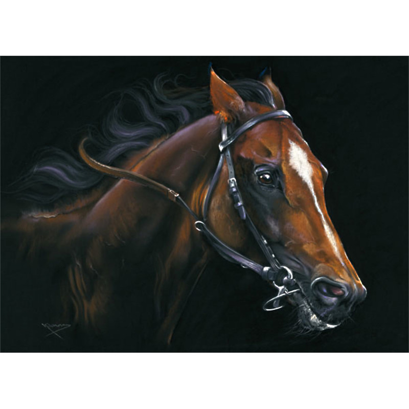 By A Nose (Racehorse) - LGE