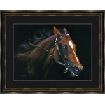 By A Nose (Racehorse) - LGE