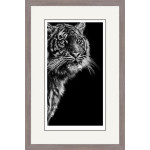 Dangerous Contrast (Sumatran Tiger) Dangerous Contrast (Sumatran Tiger)