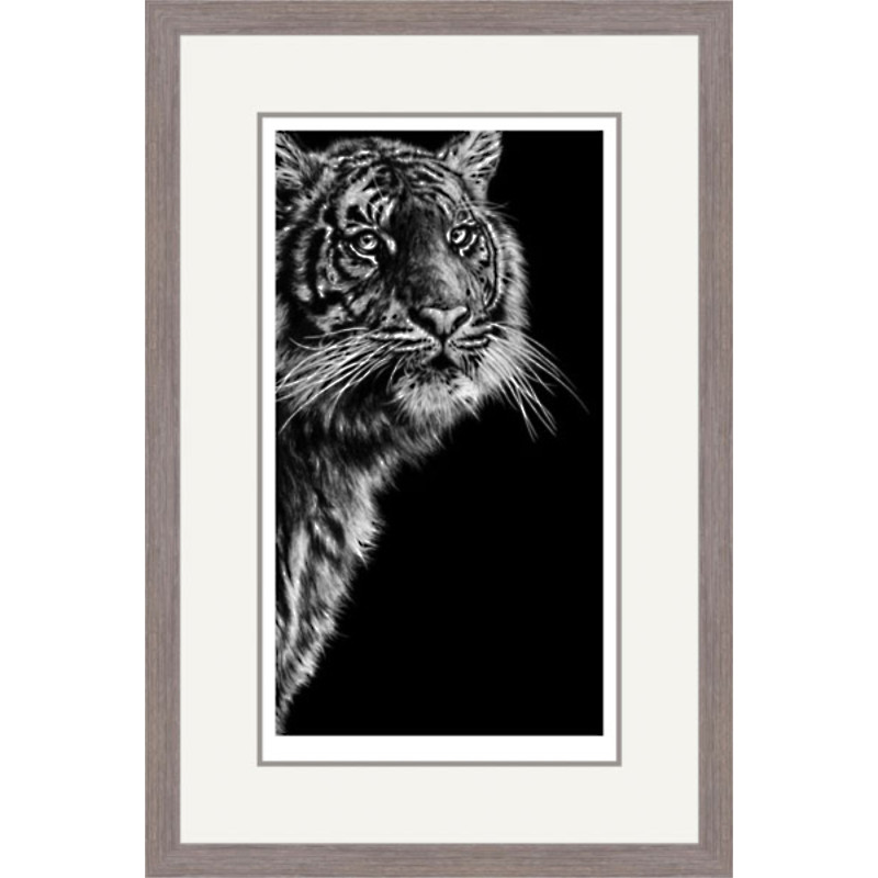 Dangerous Contrast (Sumatran Tiger) Dangerous Contrast (Sumatran Tiger)