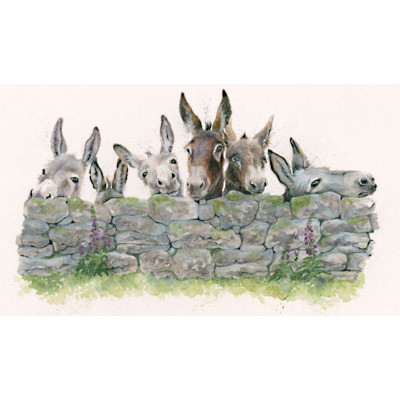Talk To The Wall - Donkeys LGE