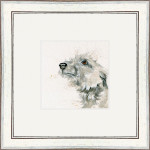 Dougal (Lurcher) Dougal (Lurcher)