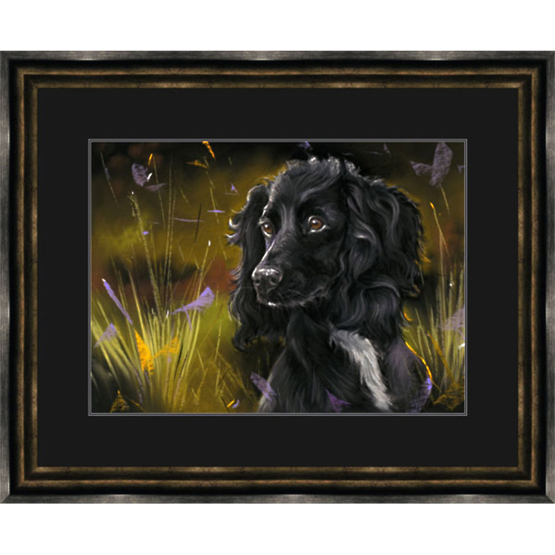 Field Game (Black Cocker) - LGE