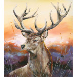 First Light - Canvas Board