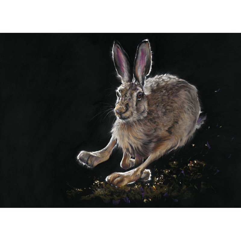 Flying Start (Hare) - MED Flying Start (Hare) - MED