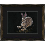 Flying Start (Hare) - MED Flying Start (Hare) - MED