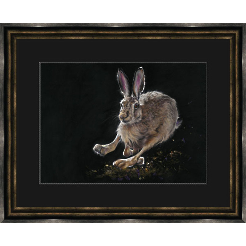 Flying Start (Hare) - MED Flying Start (Hare) - MED