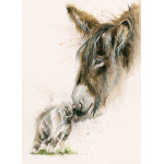 French Kiss (Donkey & Cat)