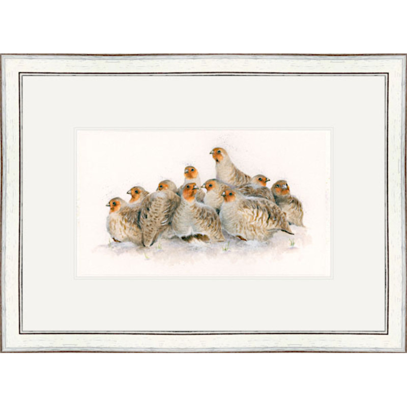 Full English - English Partridge SML Full English - English Partridge SML
